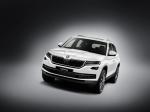 Skoda Kodiaq 2016 года (WW)